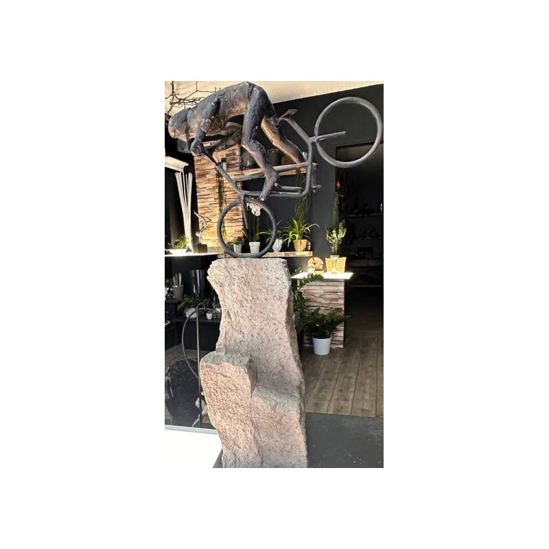 CYCLISTE PIERRE HAUTE