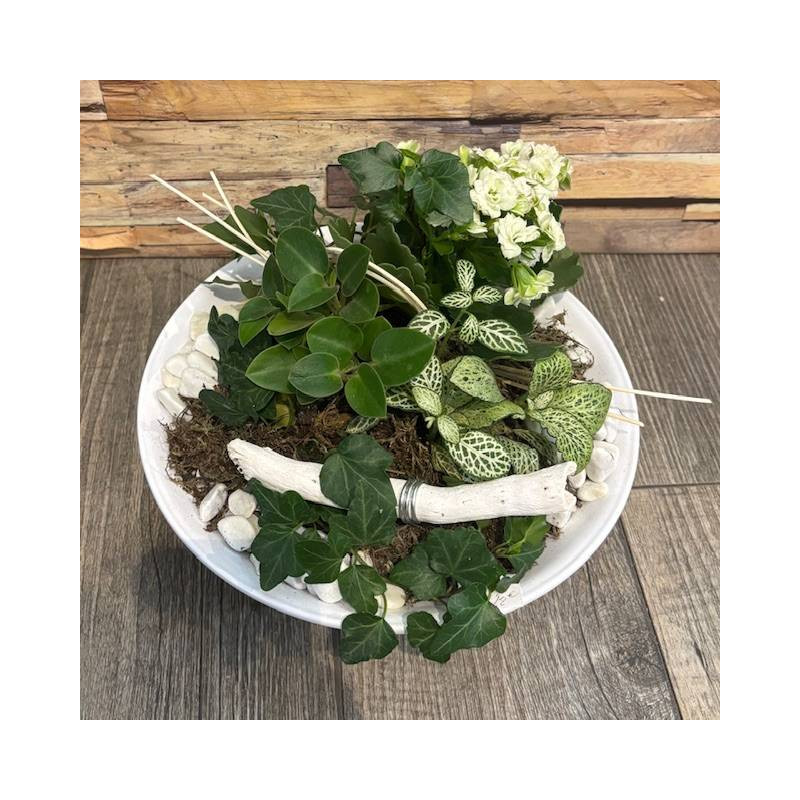 JARDIN DE PLANTES BLANCHES 