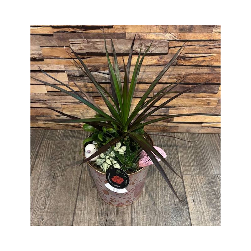 JARDIN DE PLANTES ROSE