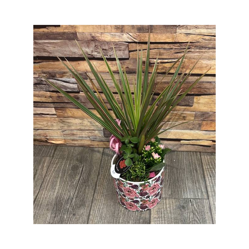 JARDIN DE PLANTES ROSE