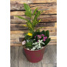 JARDIN DE PLANTE