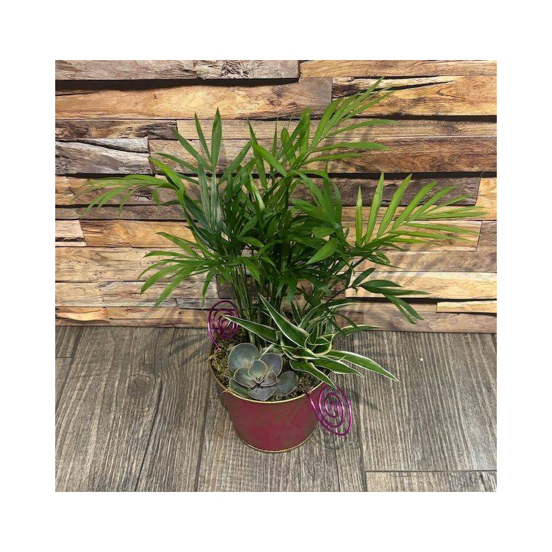 JARDIN DE PLANTE