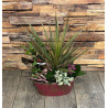 JARDIN DE PLANTE 